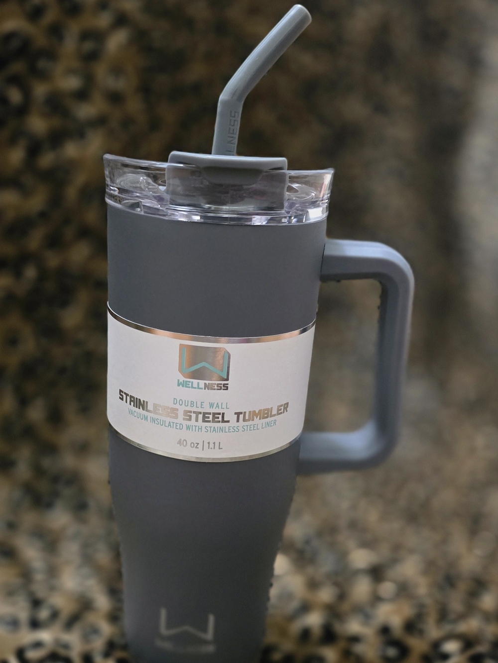 Wellness 40 oz Gray Stainless Steel Tumbler with Handle and Straw